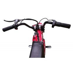 MINIMOTO DART 300W PASEO ROJO