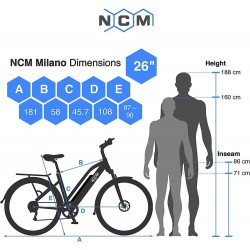 MILANO PLUS 250W EBIKE DE TREKKING PARA ADULTO BLANCO