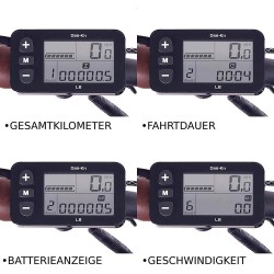 MUNICH 250W EBIKE DE PASEO PARA ADULTO BLANCO